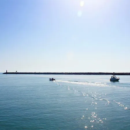 Dolphin Vilamoura