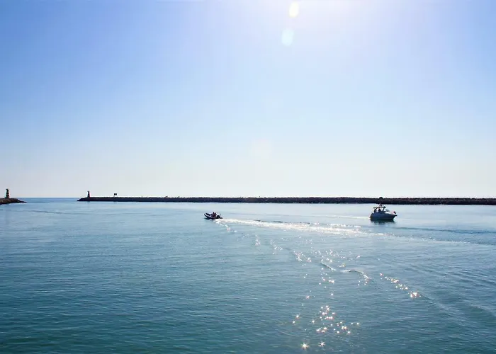 Dolphin 维拉摩拉