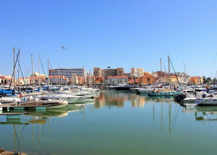 Dolphin * 维拉摩拉